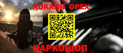 гашик Кизилюрт