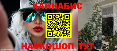 гашик Кизилюрт