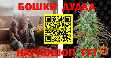 мдпв Кизляр