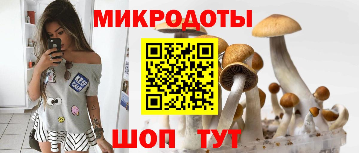 Галлюциногенные грибы Psilocybine cubensis Рузаевка