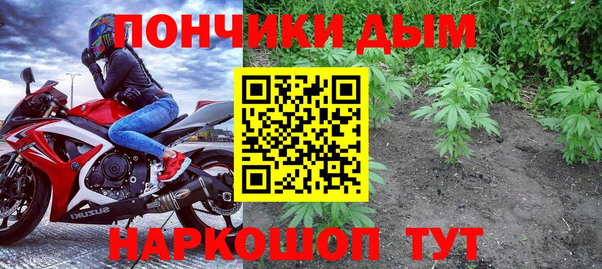 Конопля сатива Рузаевка